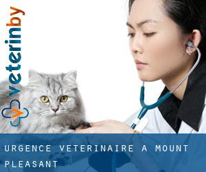 Urgence vétérinaire à Mount Pleasant