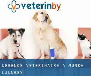 Urgence vétérinaire à Munka-Ljungby
