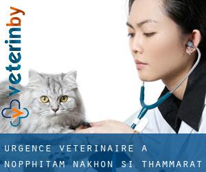 Urgence vétérinaire à Nopphitam (Nakhon Si Thammarat)