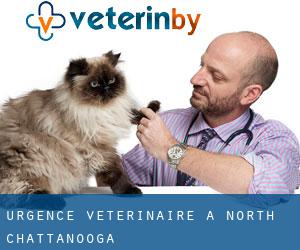 Urgence vétérinaire à North Chattanooga