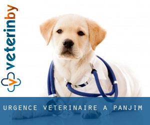 Urgence vétérinaire à Panjim Urgence vétérinaire à Panjim