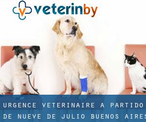 Urgence vétérinaire à Partido de Nueve de Julio (Buenos Aires)