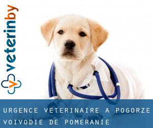 Urgence vétérinaire à Pogórze (Voïvodie de Poméranie)