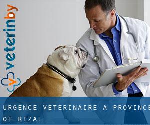 Urgence vétérinaire à Province of Rizal
