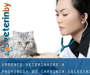 Urgence vétérinaire à Provincia di Carbonia-Iglesias