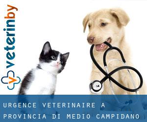 Urgence vétérinaire à Provincia di Medio Campidano