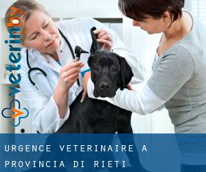 Urgence vétérinaire à Provincia di Rieti