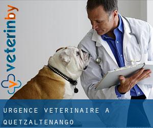 Urgence vétérinaire à Quetzaltenango
