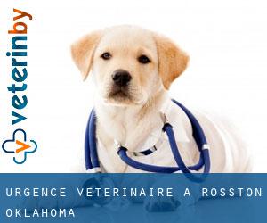 Urgence vétérinaire à Rosston (Oklahoma)