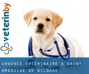 Urgence vétérinaire à Saint-Ambroise-de-Kildare