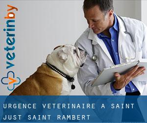 Urgence vétérinaire à Saint-Just-Saint-Rambert