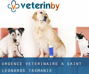 Urgence vétérinaire à Saint Leonards (Tasmanie)