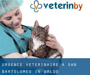 Urgence vétérinaire à San Bartolomeo in Galdo