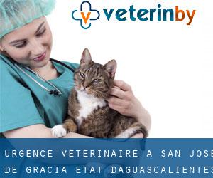 Urgence vétérinaire à San José de Gracia (État d'Aguascalientes)