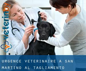 Urgence vétérinaire à San Martino al Tagliamento