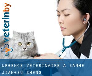 Urgence vétérinaire à Sanhe (Jiangsu Sheng)