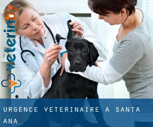 Urgence vétérinaire à Santa Ana