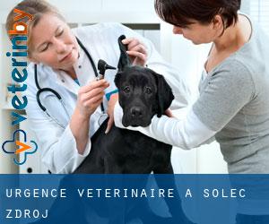 Urgence vétérinaire à Solec-Zdrój