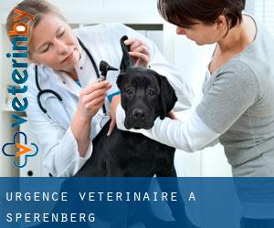 Urgence vétérinaire à Sperenberg