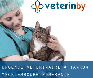 Urgence vétérinaire à Tankow (Mecklembourg-Poméranie)