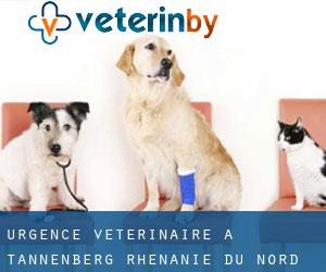 Urgence vétérinaire à Tannenberg (Rhénanie du Nord-Westphalie)