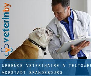 Urgence vétérinaire à Teltower Vorstadt (Brandebourg)