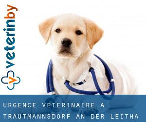 Urgence vétérinaire à Trautmannsdorf an der Leitha