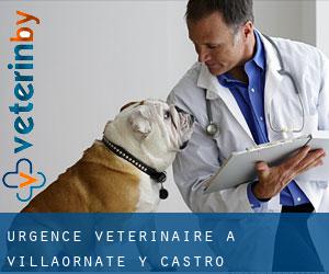 Urgence vétérinaire à Villaornate y Castro