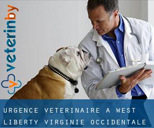 Urgence vétérinaire à West Liberty (Virginie-Occidentale)