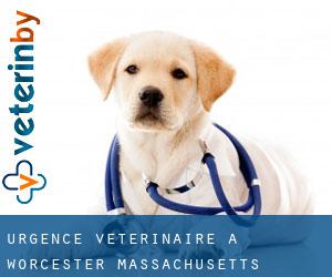 Urgence vétérinaire à Worcester (Massachusetts) Urgence vétérinaire à Worcester (Massachusetts)