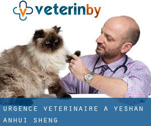 Urgence vétérinaire à Yeshan (Anhui Sheng)