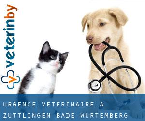 Urgence vétérinaire à Züttlingen (Bade-Wurtemberg)
