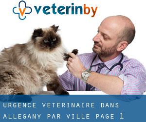 Urgence vétérinaire dans Allegany par ville - page 1