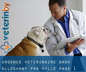 Urgence vétérinaire dans Alleghany par ville - page 1