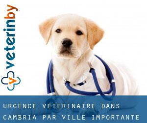 Urgence vétérinaire dans Cambria par ville importante - page 1
