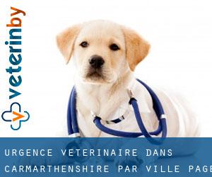 Urgence vétérinaire dans Carmarthenshire par ville - page 1