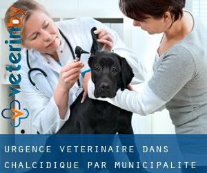 Urgence vétérinaire dans Chalcidique par municipalité - page 1