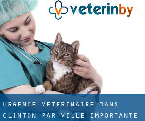 Urgence vétérinaire dans Clinton par ville importante - page 1