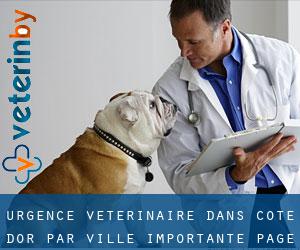Urgence vétérinaire dans Côte-d'Or par ville importante - page 2