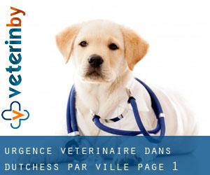 Urgence vétérinaire dans Dutchess par ville - page 1