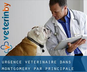 Urgence vétérinaire dans Montgomery par principale ville - page 1
