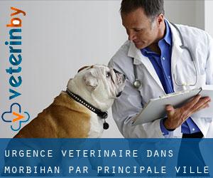 Urgence vétérinaire dans Morbihan par principale ville - page 3