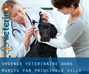 Urgence vétérinaire dans Murcie par principale ville - page 1