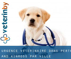 Urgence vétérinaire dans Perth and Kinross par ville importante - page 1
