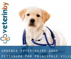 Urgence vétérinaire dans Pittsburg par principale ville - page 1
