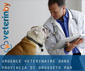 Urgence vétérinaire dans Provincia di Grosseto par ville importante - page 1