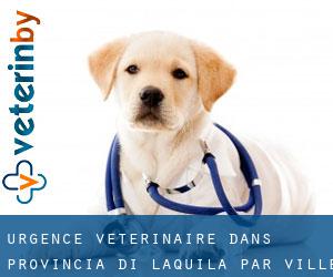 Urgence vétérinaire dans Provincia di L'Aquila par ville - page 1