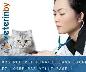 Urgence vétérinaire dans Saône-et-Loire par ville - page 1
