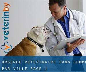 Urgence vétérinaire dans Somme par ville - page 1