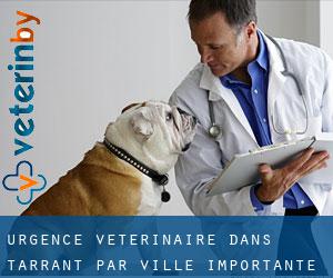 Urgence vétérinaire dans Tarrant par ville importante - page 1